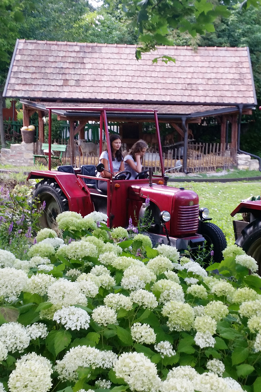 Leonharder Blogspot Fasching Im Senecura Sozialzentrum Bad St