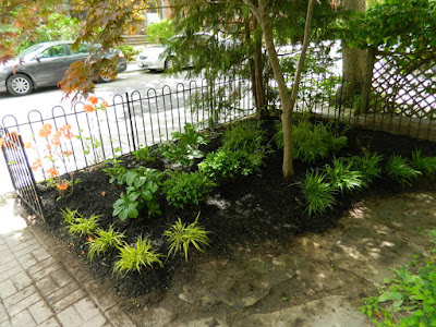 MacPherson Avenue front garden makeover after by Paul Jung Gardening Services Toronto
