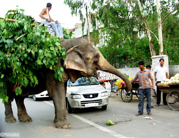 Amritsar a charming city of India