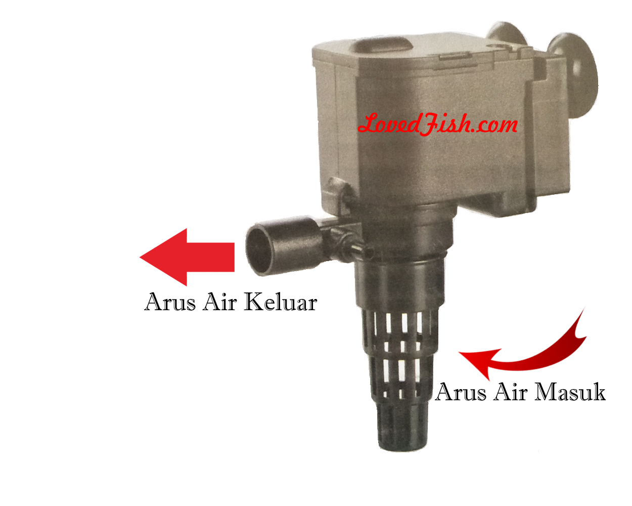 Jenis Pompa Air Aquarium dan Kolam 