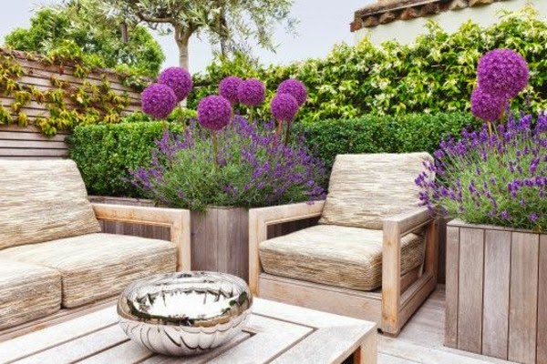 Terrace garden – beautiful design ideas!