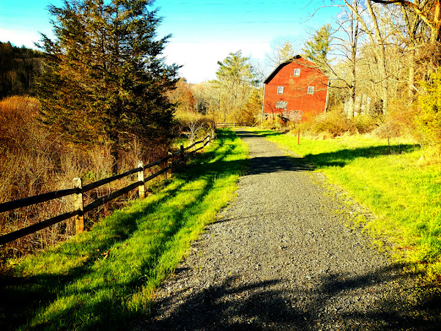 Old Barn on the Hiking Trail