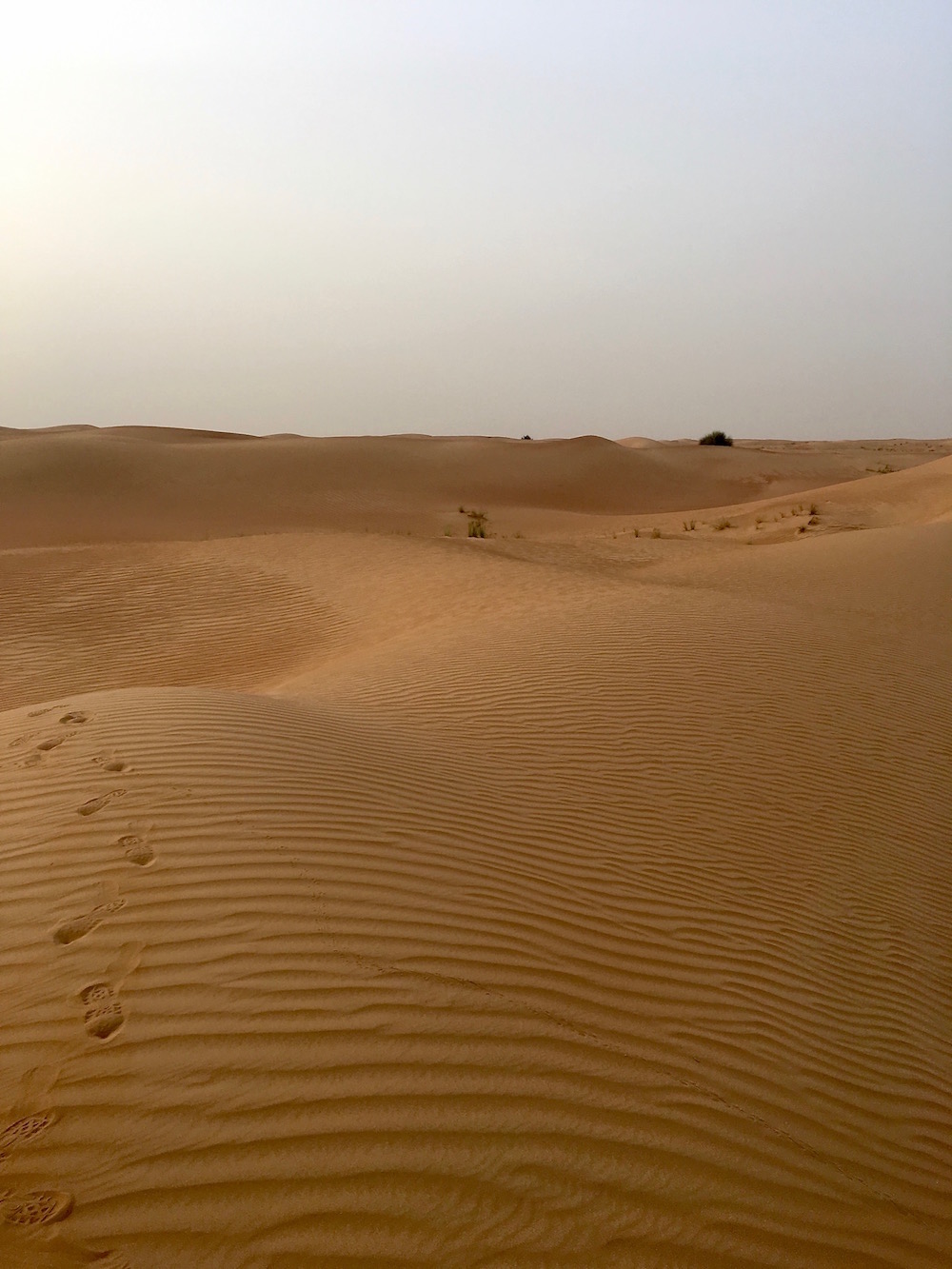 travel dubai desert