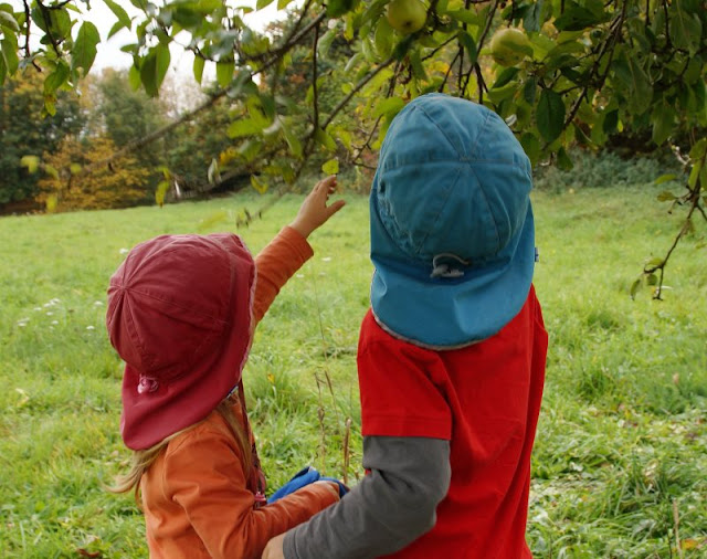 Äpfel pflücken auf der Streuobstwiese. Die Kinder haben beim Selber-Pflücken der Äpfel besonders viel Spaß!