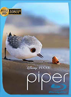 Piper (2016) HD [1080p] Latino [GoogleDrive] DizonHD