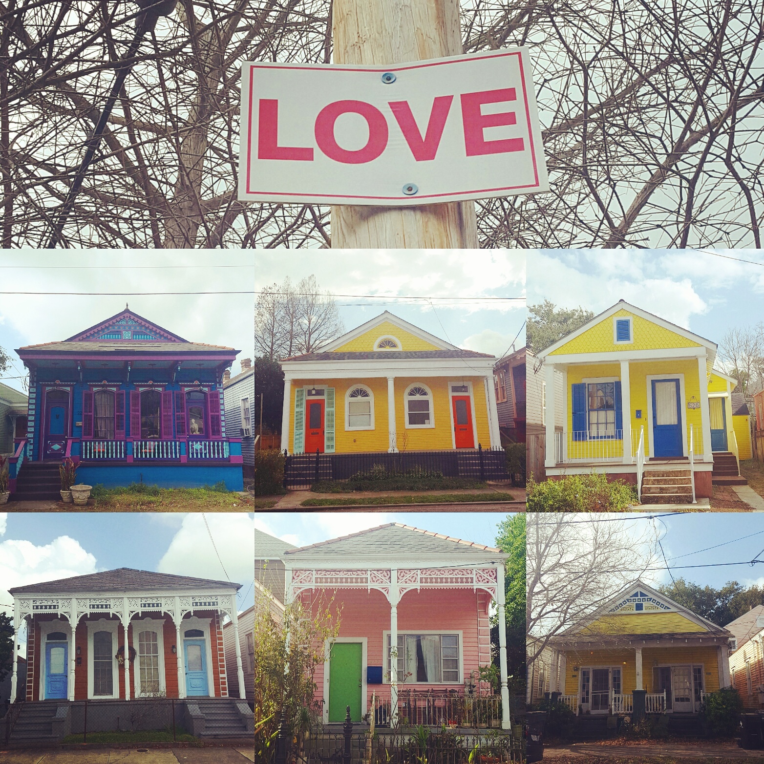 Mango & Tomato New Orleans Picture Travel Guide Where To Eat & What To Do