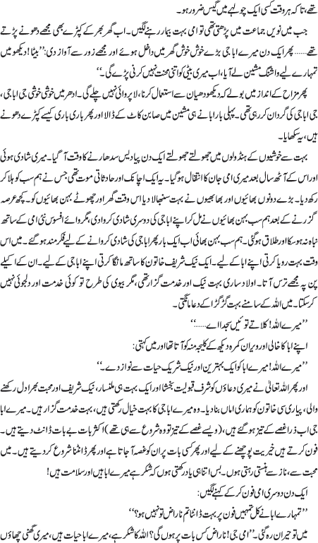 Essay apple kahani 05 picture