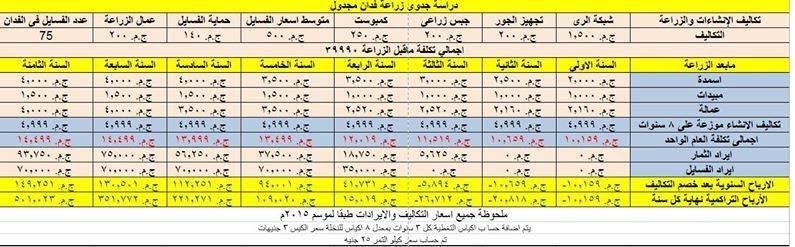 مدونة الأنشطة المشروعات للشباب التابعة لمجموعة شركات بيراميدز جروب طارق عقل وشركائه مشروع بحث ودراسات جدوي مبسطه عن أكثر من نوع نخيل النخيل العادي والنخيل المجدول وطرق تكوين مزرعة نخيل