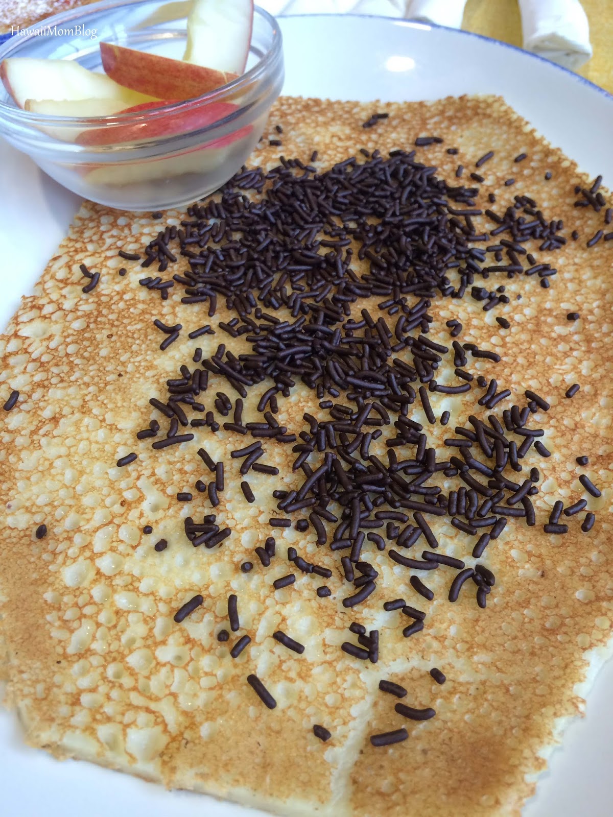 Hawaii Mom Blog Visit Vancouver De Dutch