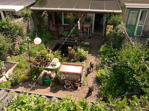 Noodlottig Buitenboordmotor hypothese huis-tuin-en-keuken: C: Biologische kippen houden in de stad.