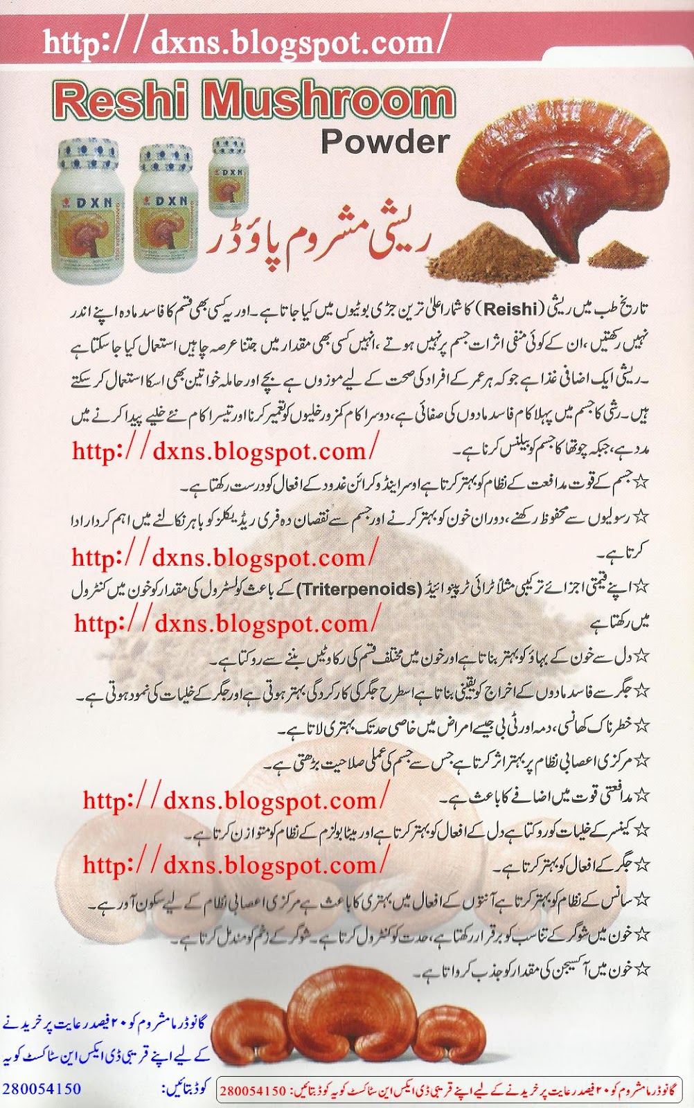 DXN MARKETING DXN Reishi (Ganoderma) Mushroom in Urdu