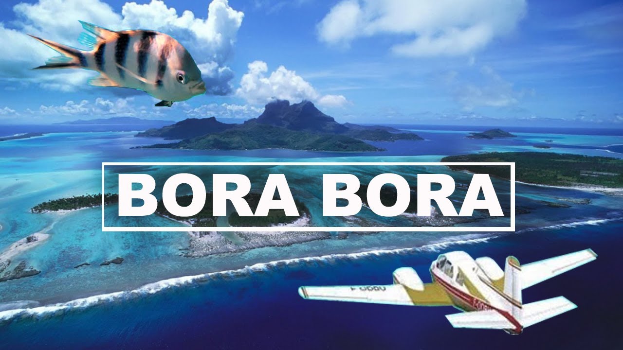 Прайс бора бора: найдено 89 изображений