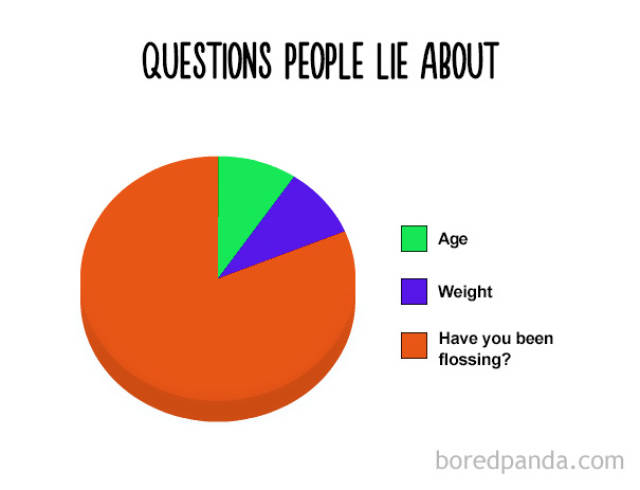 spiritual vigor amusing pie charts that are so true 38 pics funny pie charts clean