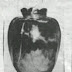 The Curse of The Basano Vase