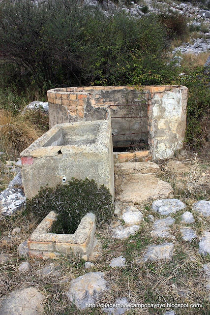 Cuaderno de Campo Payoyo: noviembre 2011