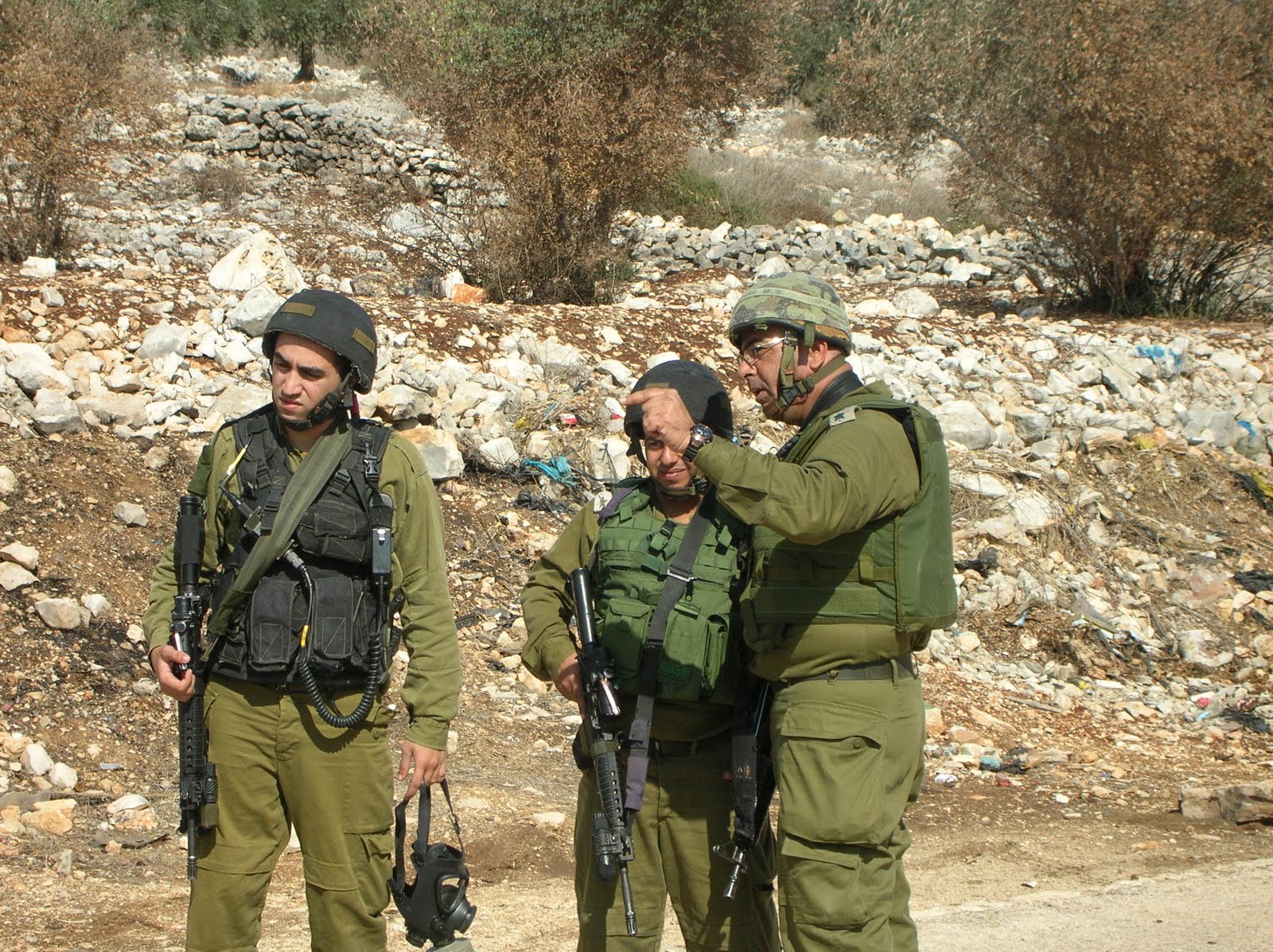 MPT Peace Team Reports: Palestine/Israel: November 2011
