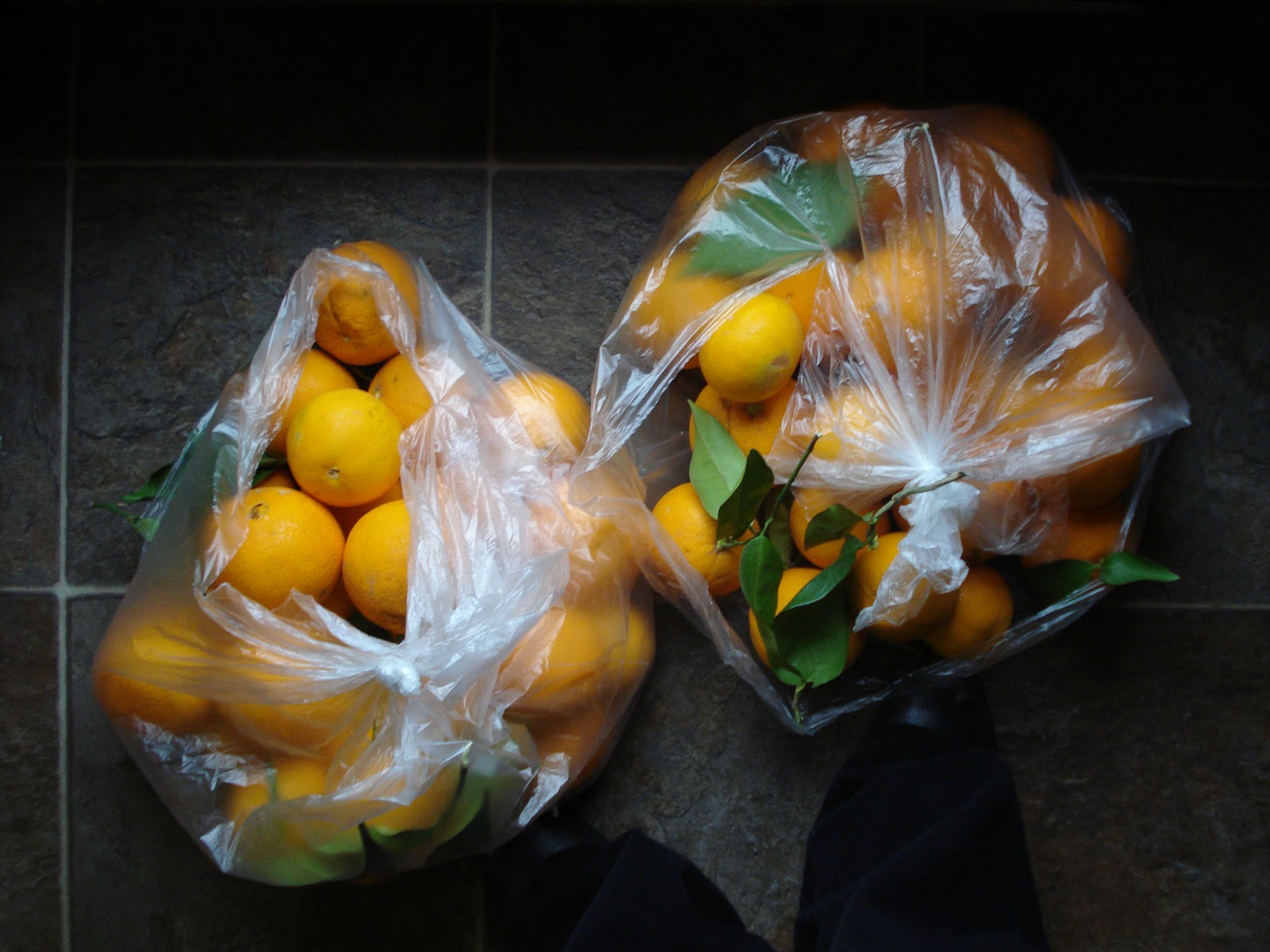 Thrift Shop Commando Orange you glad to see me?