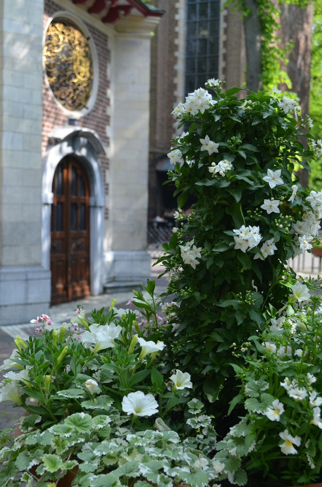 Frischer Wind Mai 2013