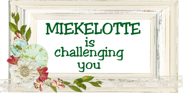 MIEKELOTTE IS CHALLENGING YOU