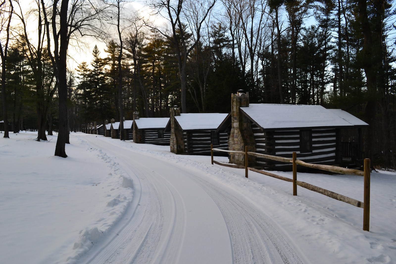 Nanda & Nathan The Travellers Black Moshannon State Park