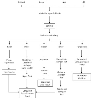 asuhan keperawatan selulitis