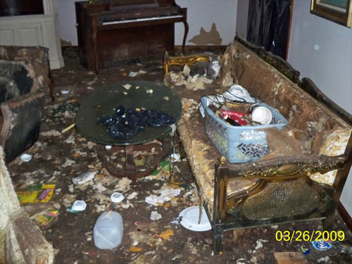 Cleaning By Rafaël Rozendaal Examples Of Filthy Rooms Examples Of Filthy Rooms