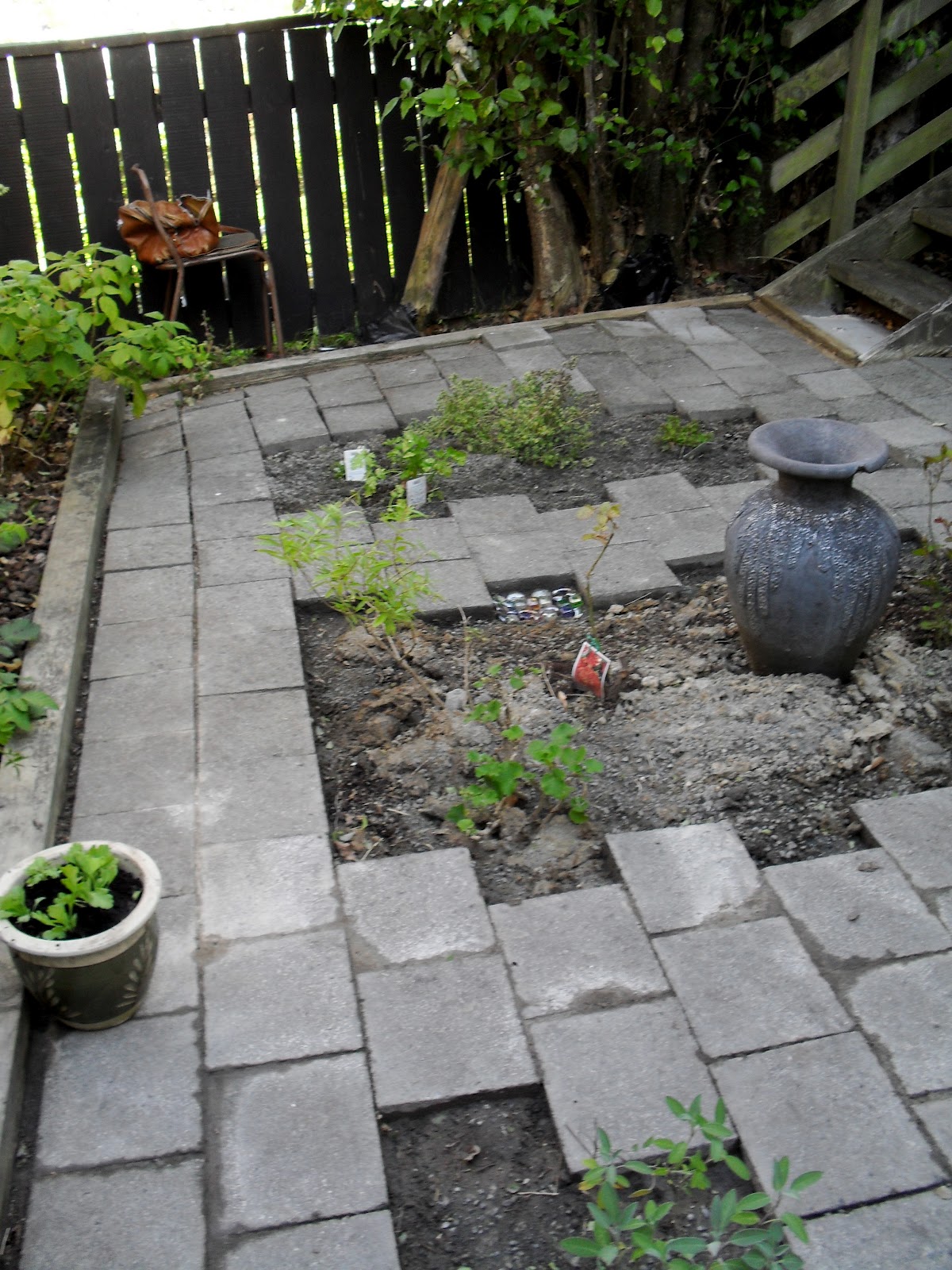 ERMAR'S WONDER GARDEN: Turning Your Patio into a Herb Garden