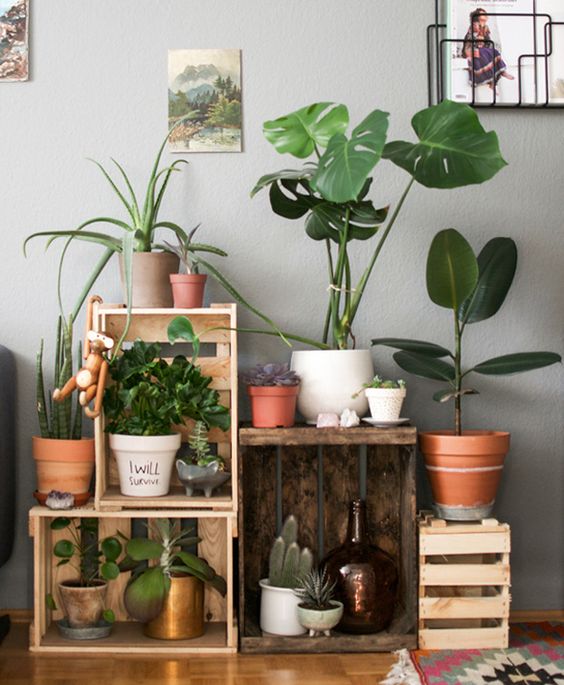 Ideas para tener un jardin interior en casa