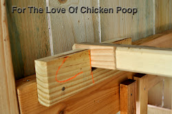 chicken perch roost poop perches door
