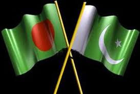 Pakistan vs Bangladesh 2011 Only T20