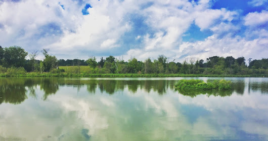 WORLD PHOTOGRAPHY DAY 2018