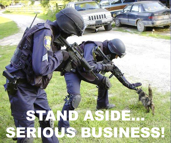 serious-business-police.jpg