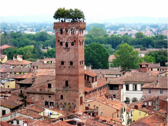 Torre Guinigi en Lucca, Italia