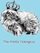 The Pretty Pekingese Pekingese Rescue and Transport