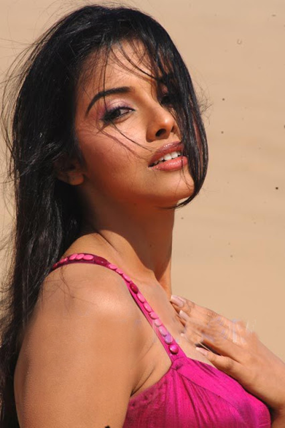 Asin Hot Bollywood Actress Asin Tamil Hot Actress Photos Pictures