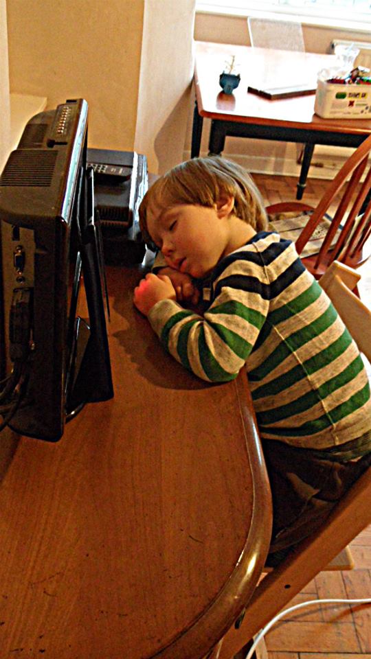 sealy zonal support pillow