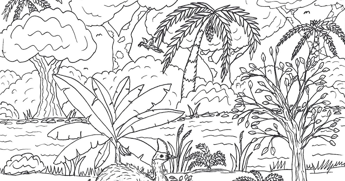 Robin's Great Coloring Pages: Daintree Rainforest