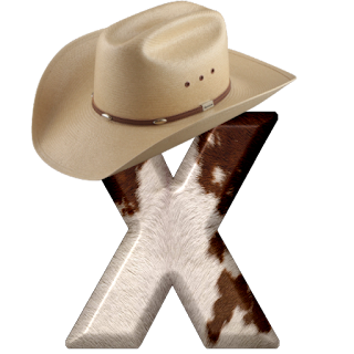 Abecedario Piel de Vaca y Sombrero de Cowboy. Alphabet with Cowboy Hat.