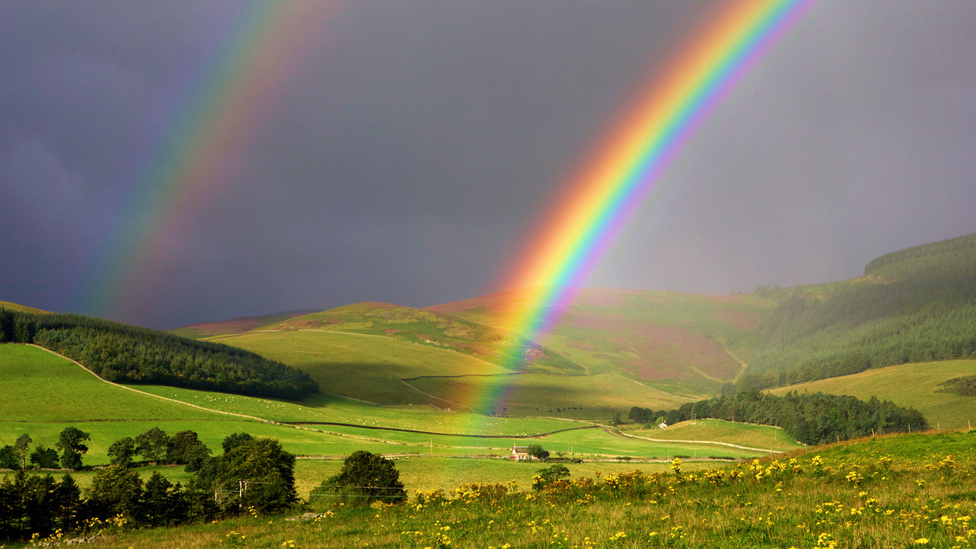 pictuREflection Rainbow after the Rain