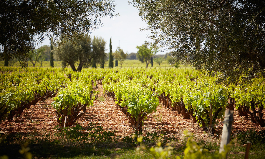 That Seventies Soul April 2019