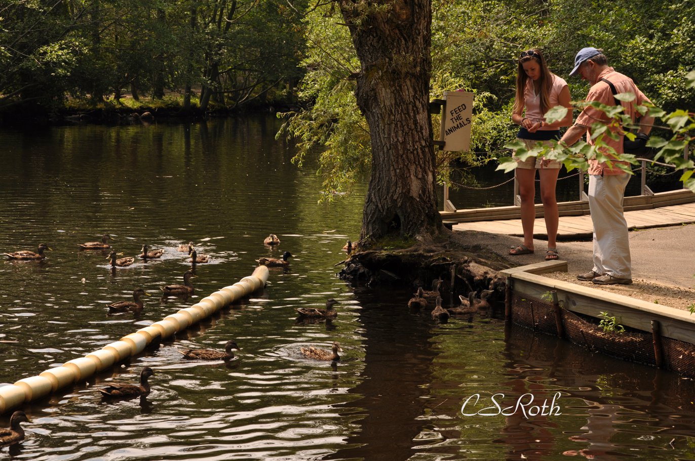York's Wild Kingdom York, Maine R We There Yet Mom?