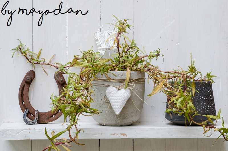 Annashines Beautyblog Blogparade Zeige Mir Deine Schonsten