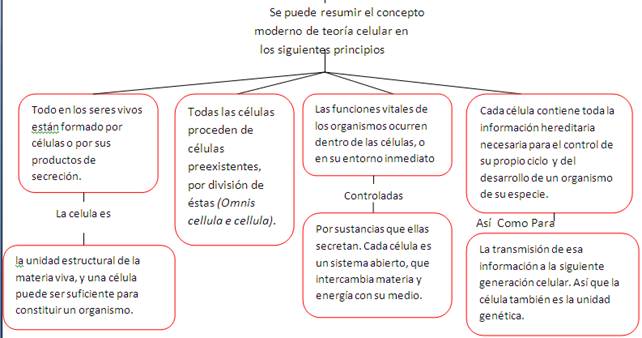 Necesitas un aceleradores del metabolismo ?