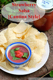 cantina style strawberry salsa