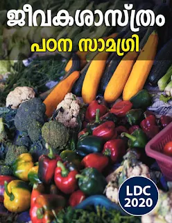Download Study Material on Vitamins
