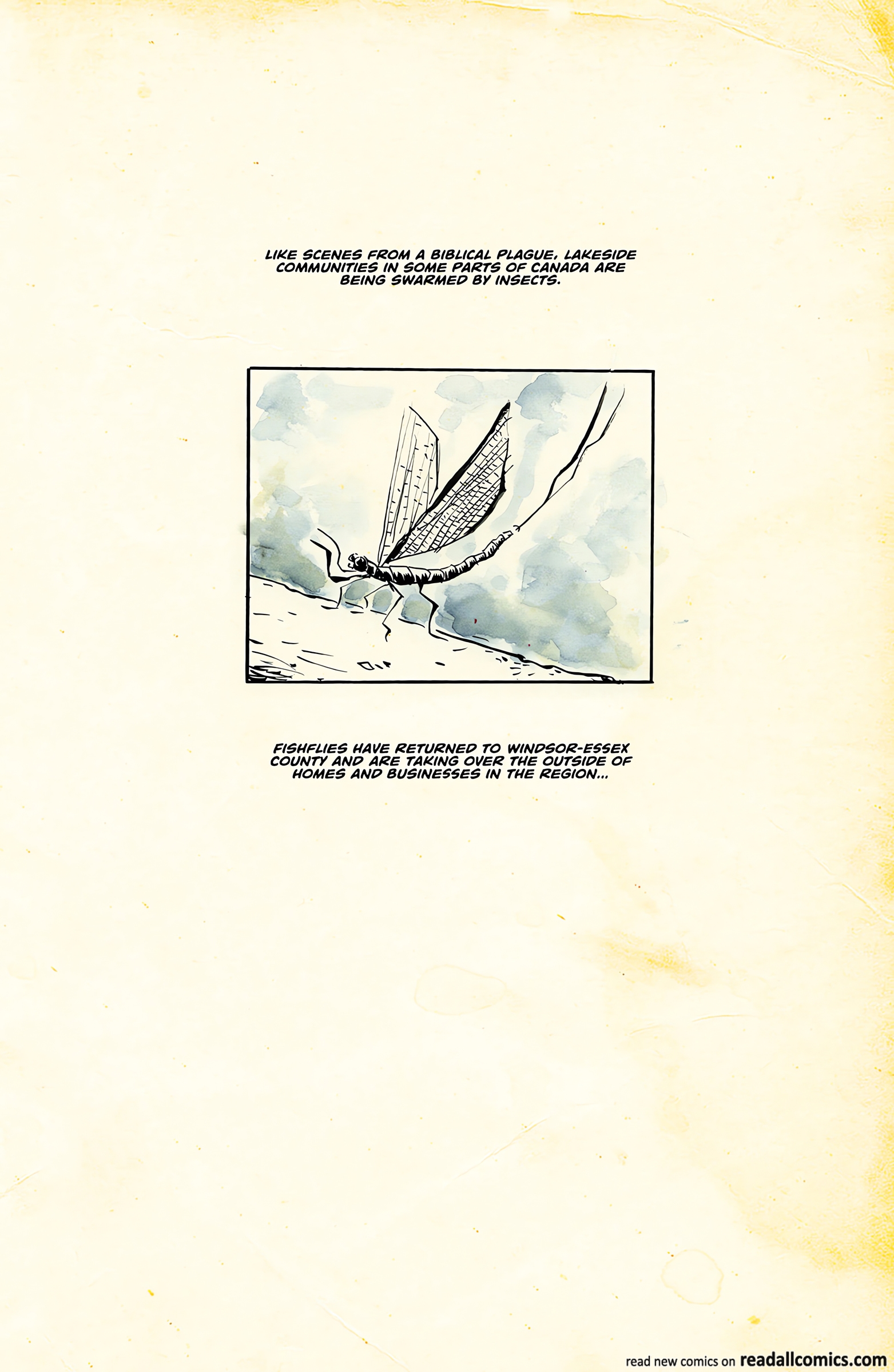 Fishflies chapter 2 page 47