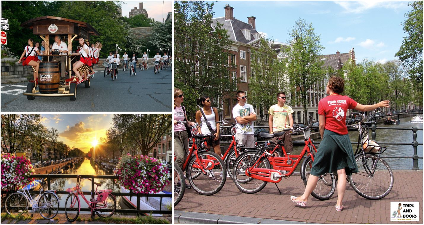 The 10 Best Things to Do in Amsterdam other than Drugs, Sex and Wild