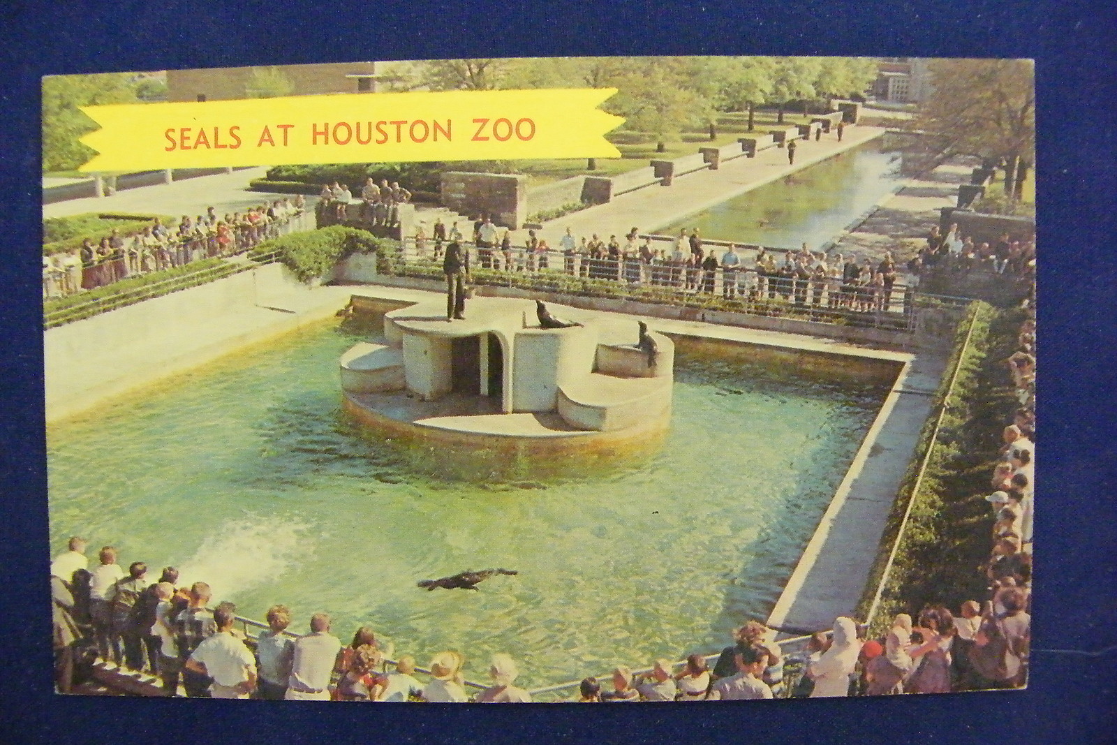 The Circus "NO SPIN ZONE" 04/18/12