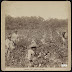 Download: Royce da 5'9" - Field Negro