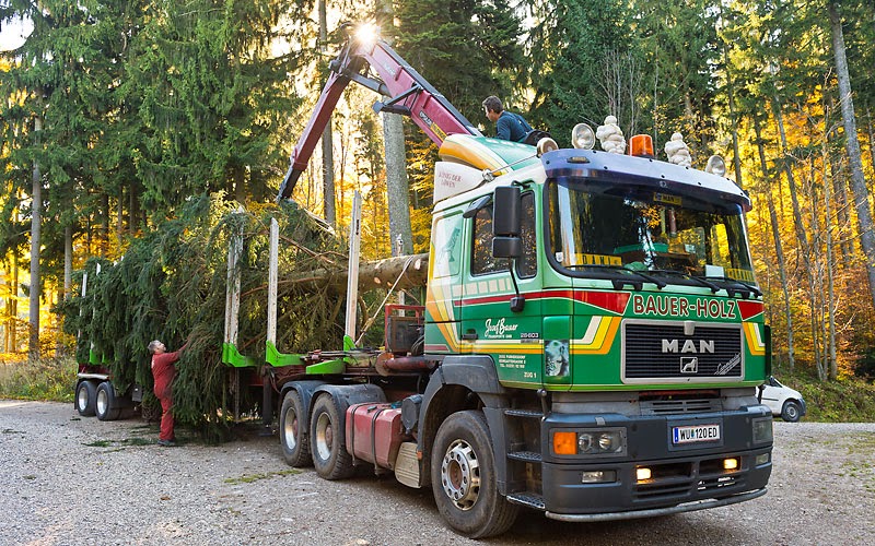 lkw bilder die st 228 rksten lkw der welt lkw bilder die st 228 rksten lkw der welt